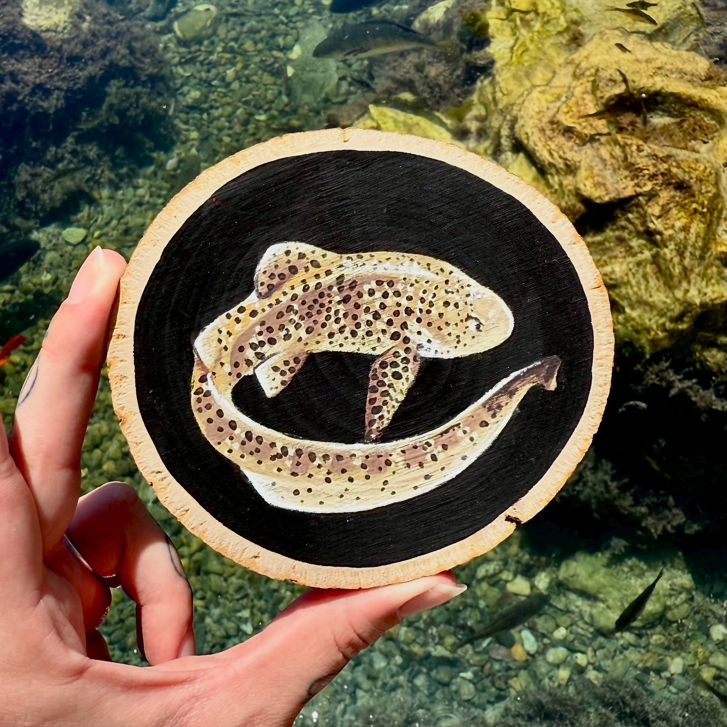 Zebra Shark Painting On Wood