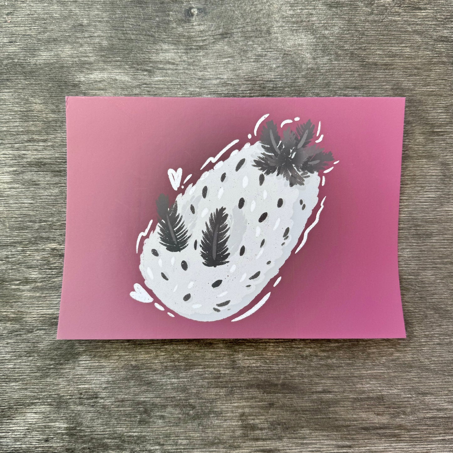Nudibranch 5x7 Print K
