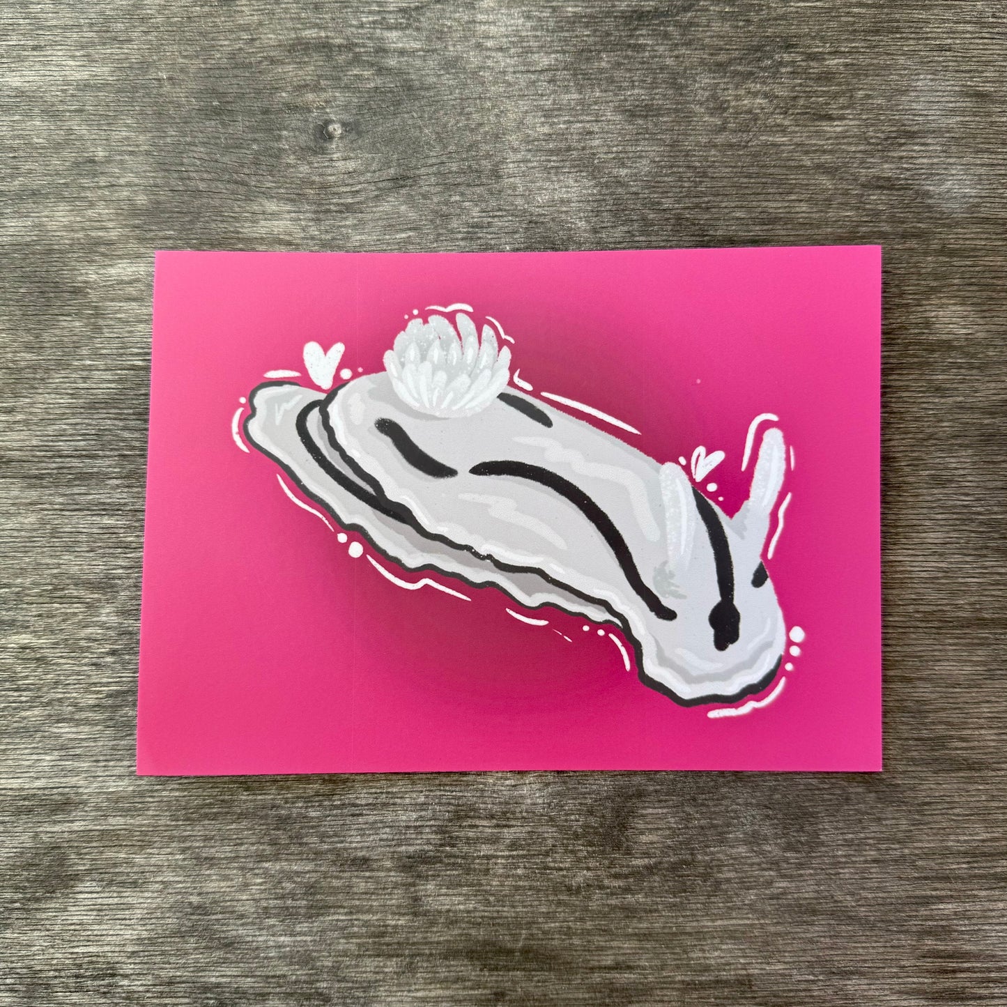 Nudibranch 5x7 Print M