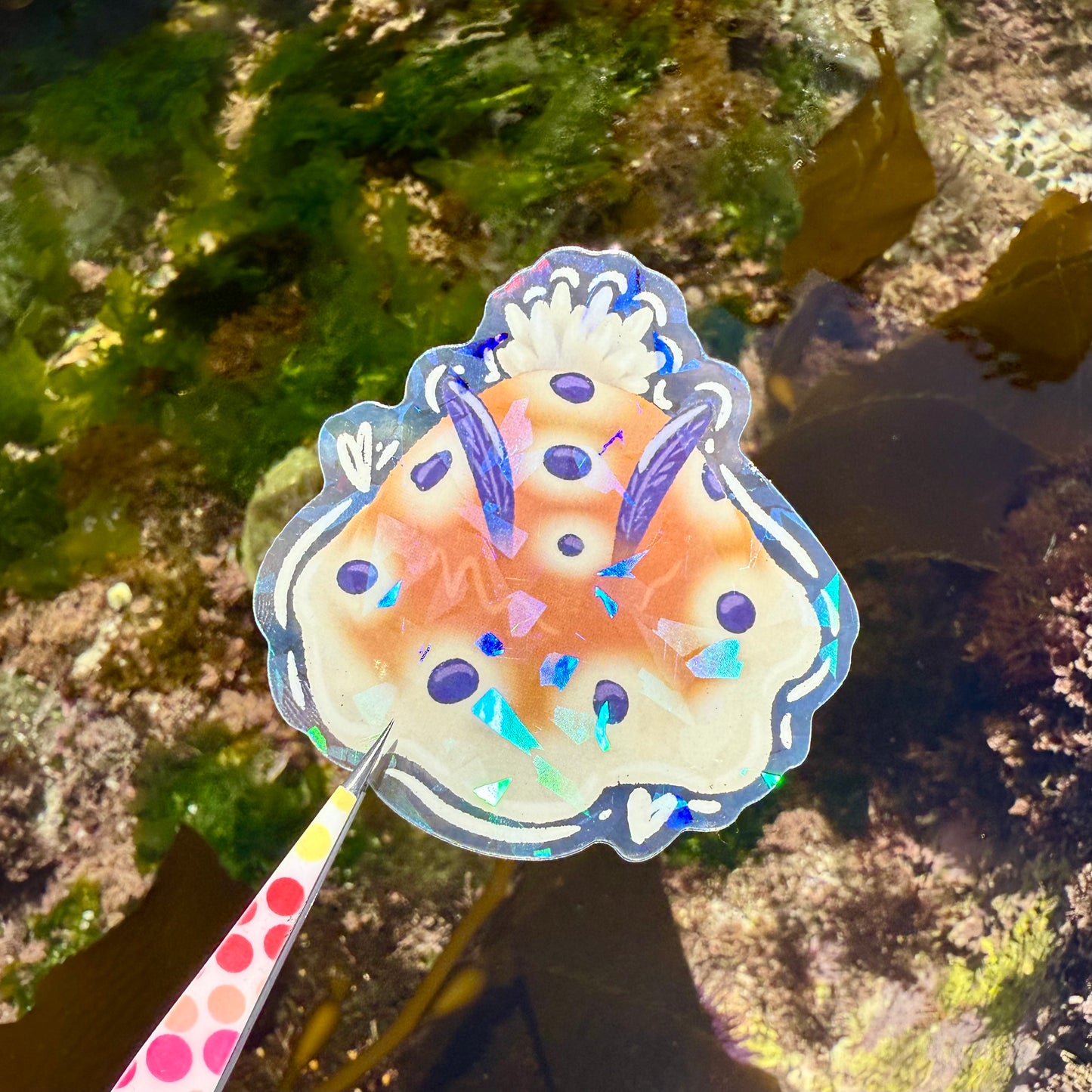 Nudibranch Sticker A