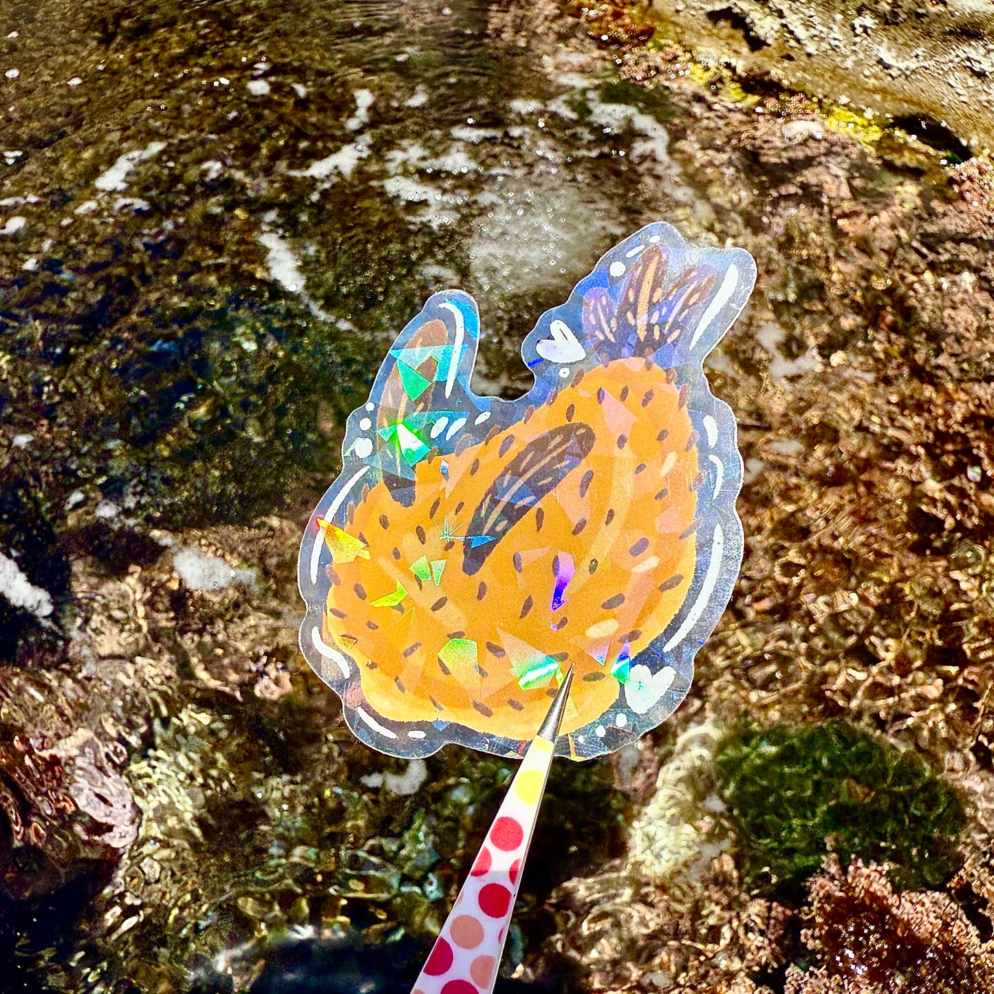 Nudibranch Sticker E