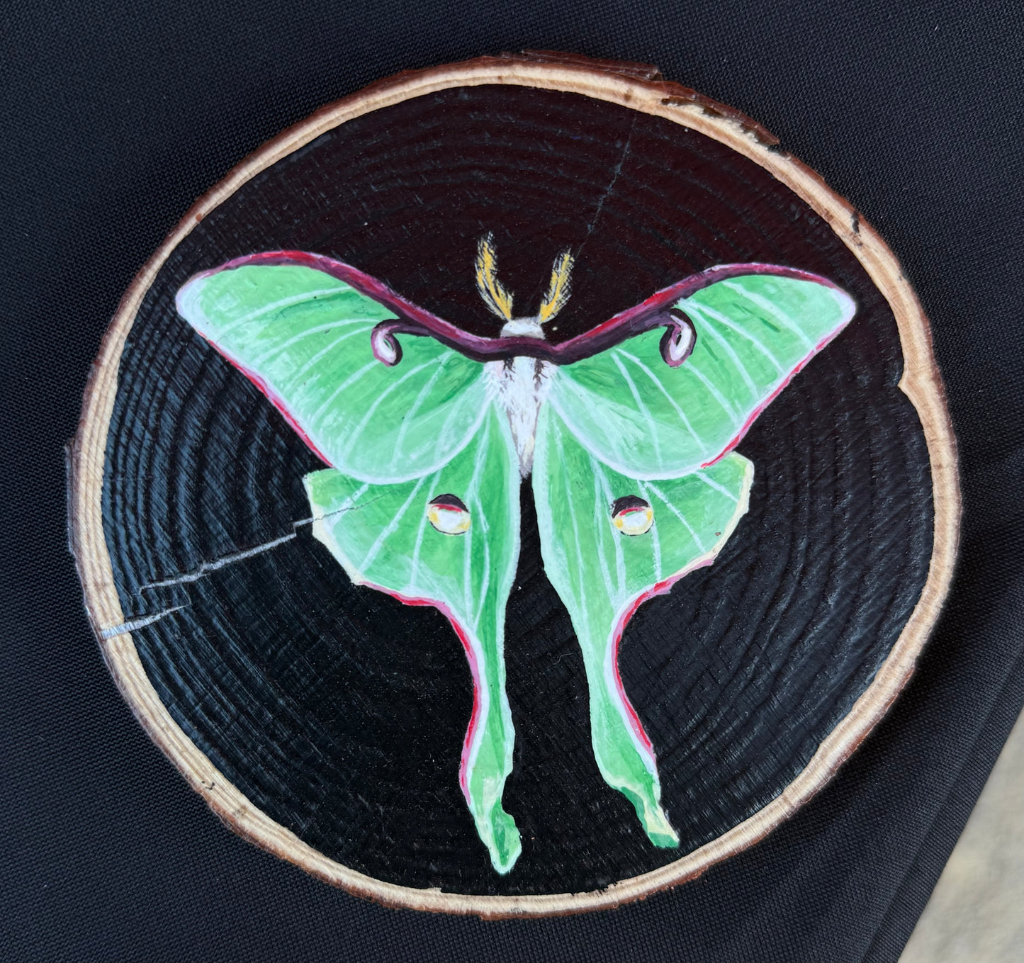 Luna Moth Painting On Wood