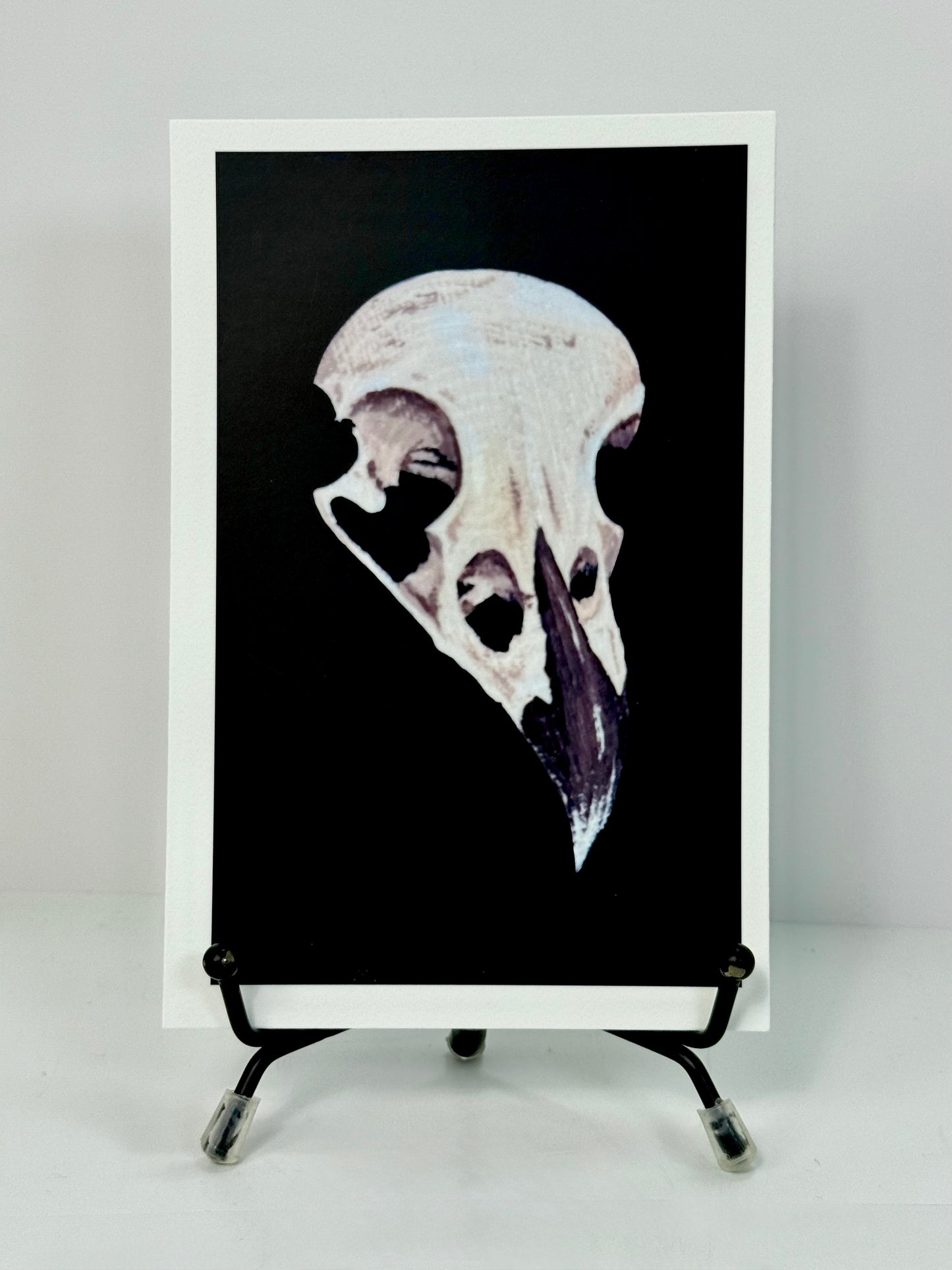Crow Skull Art Print 4x6