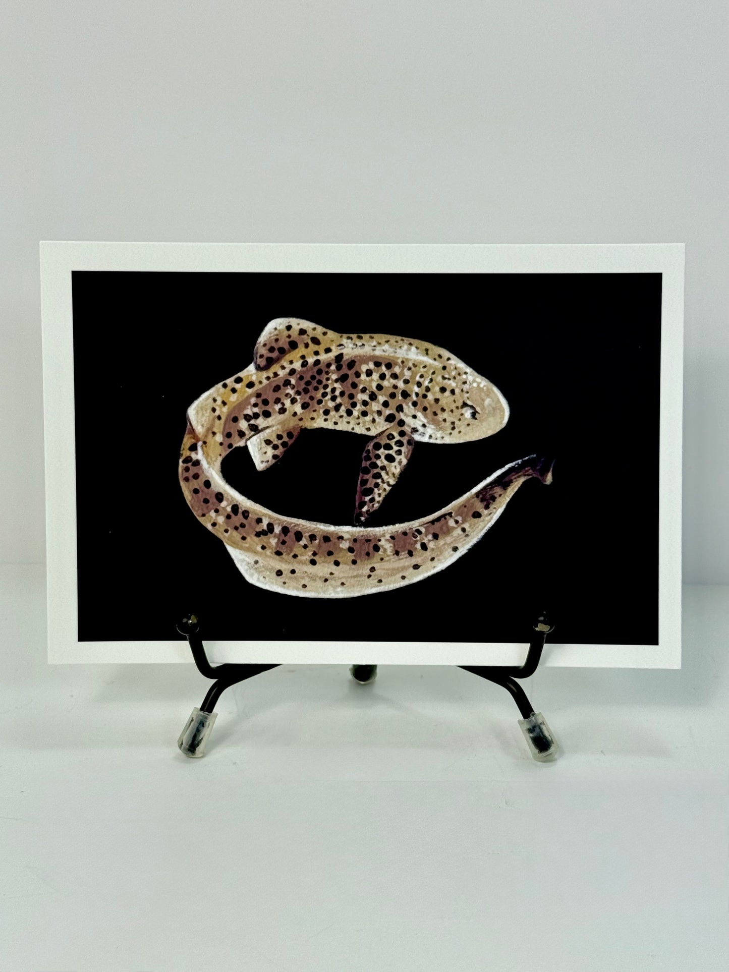 Zebra Shark Art Print 4x6