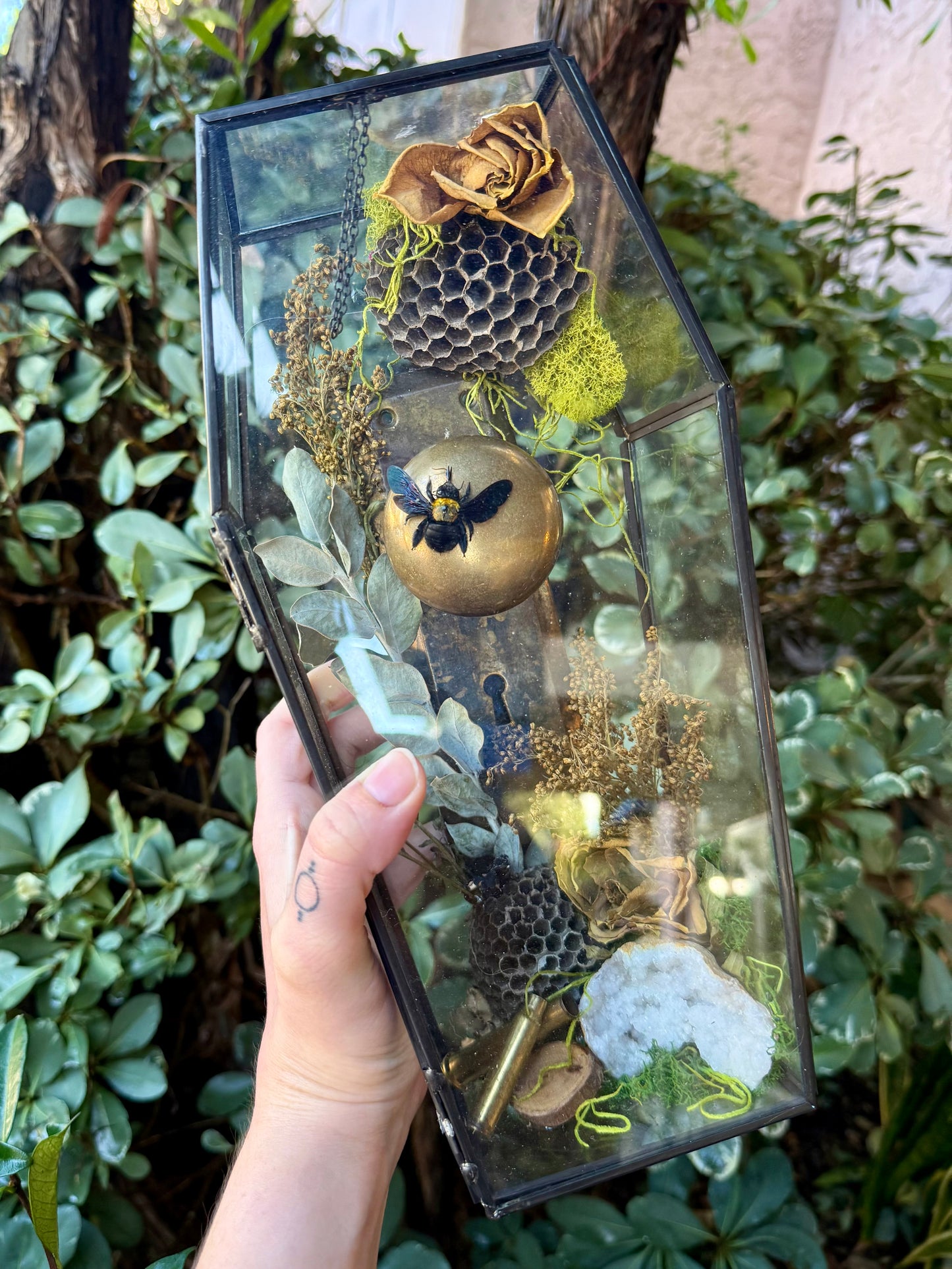 Honey Hole Glass Coffin