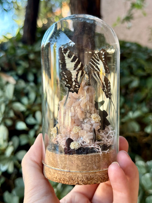 Wings of Time Floral Dome