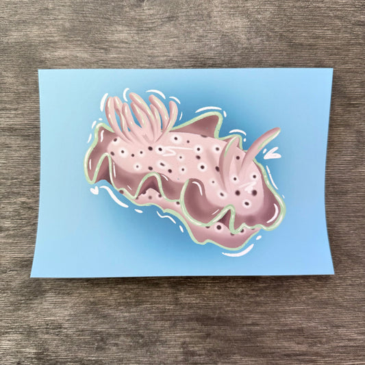 Nudibranch 5x7 Print J