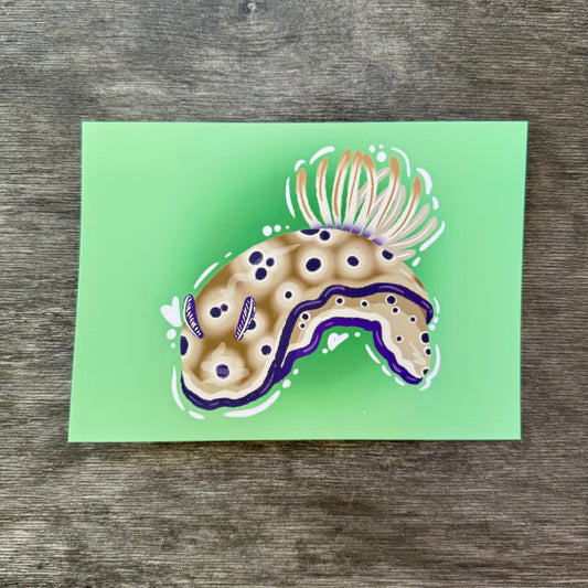 Nudibranch 5x7 Print D
