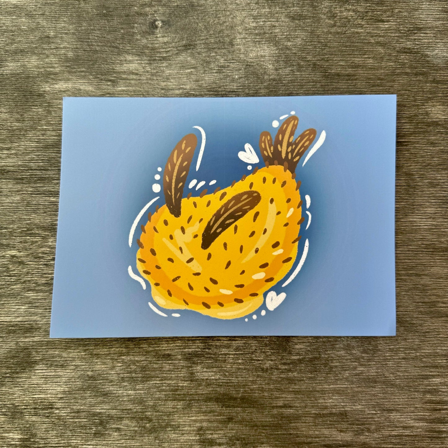 Nudibranch 5x7 Print E