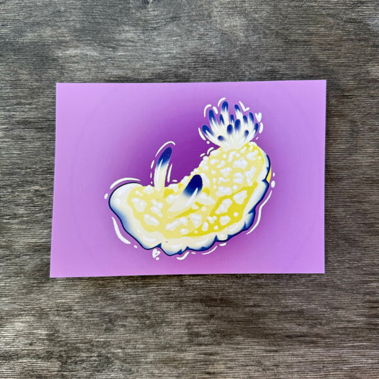 Nudibranch 5x7 Print F