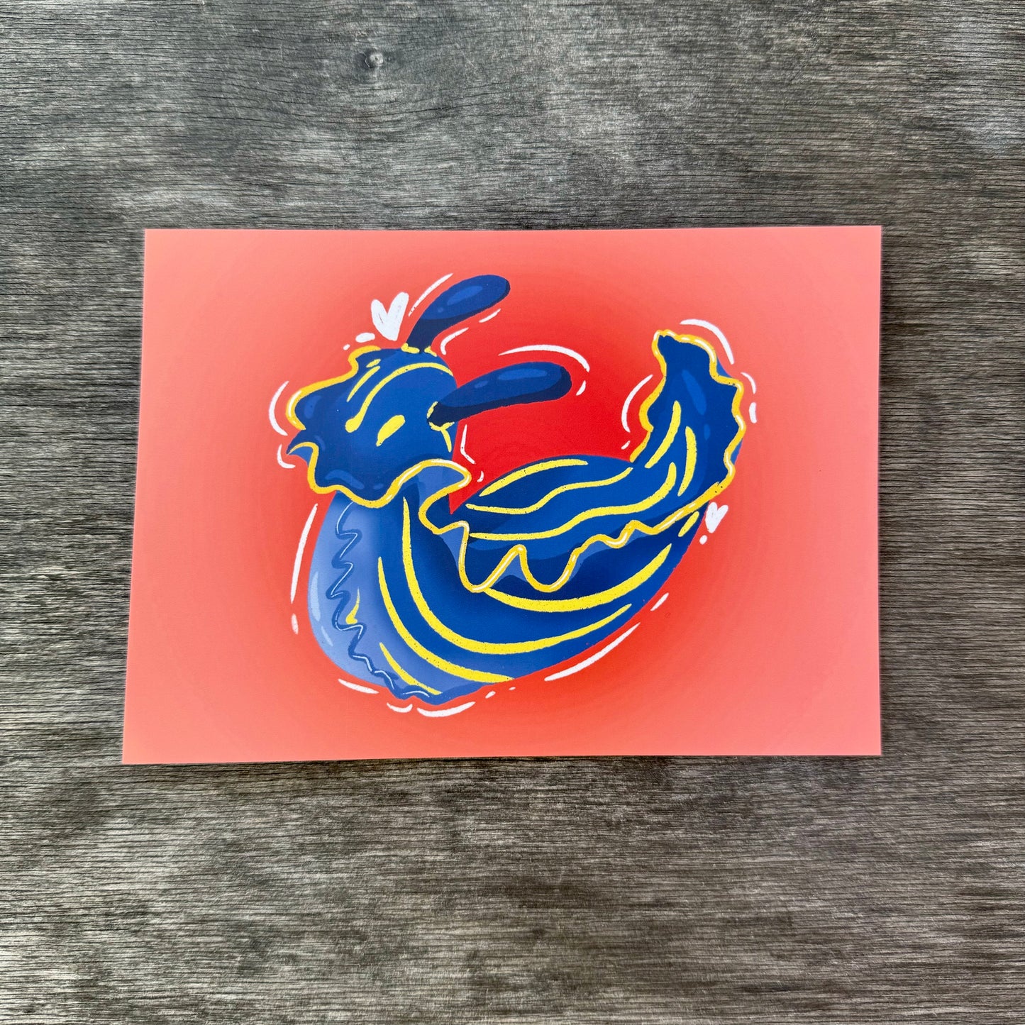 Nudibranch 5x7 Print H
