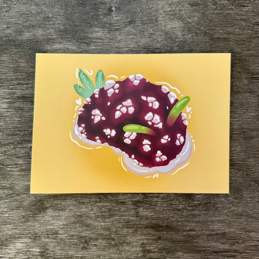 Nudibranch 5x7 Print C
