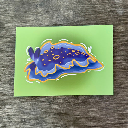 Nudibranch 5x7 Print O