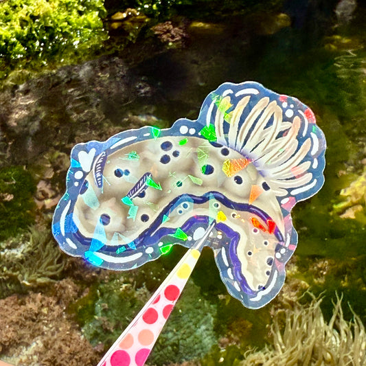 Nudibranch Sticker D