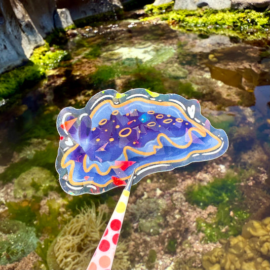 Nudibranch Sticker O