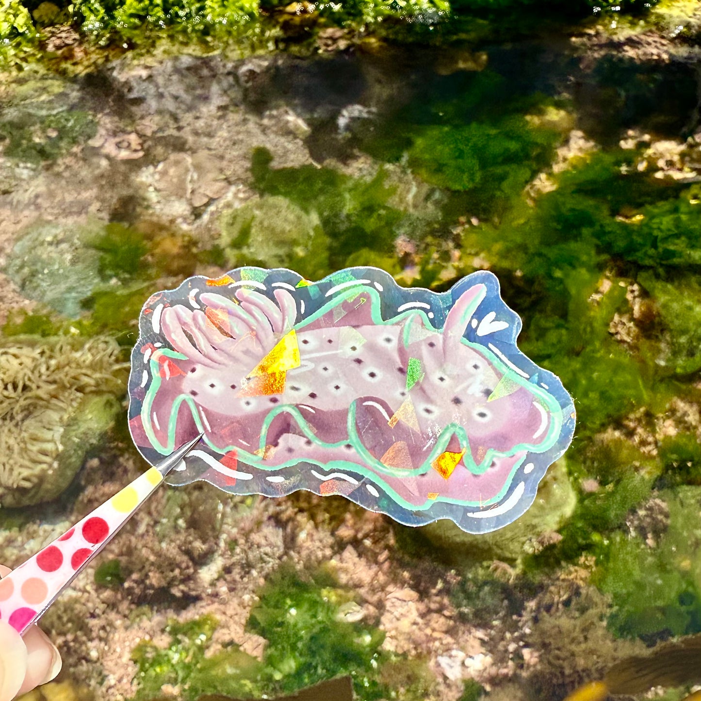 Nudibranch Sticker J