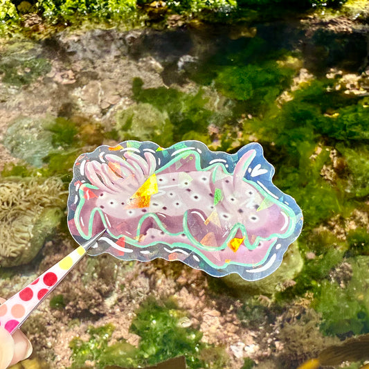 Nudibranch Sticker J
