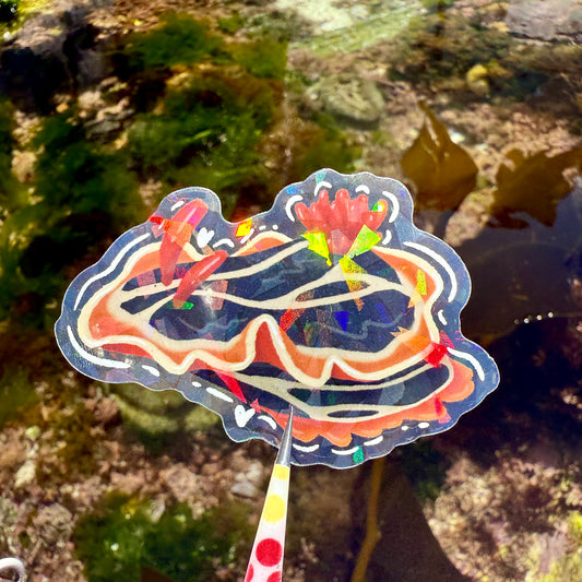 Nudibranch Sticker N