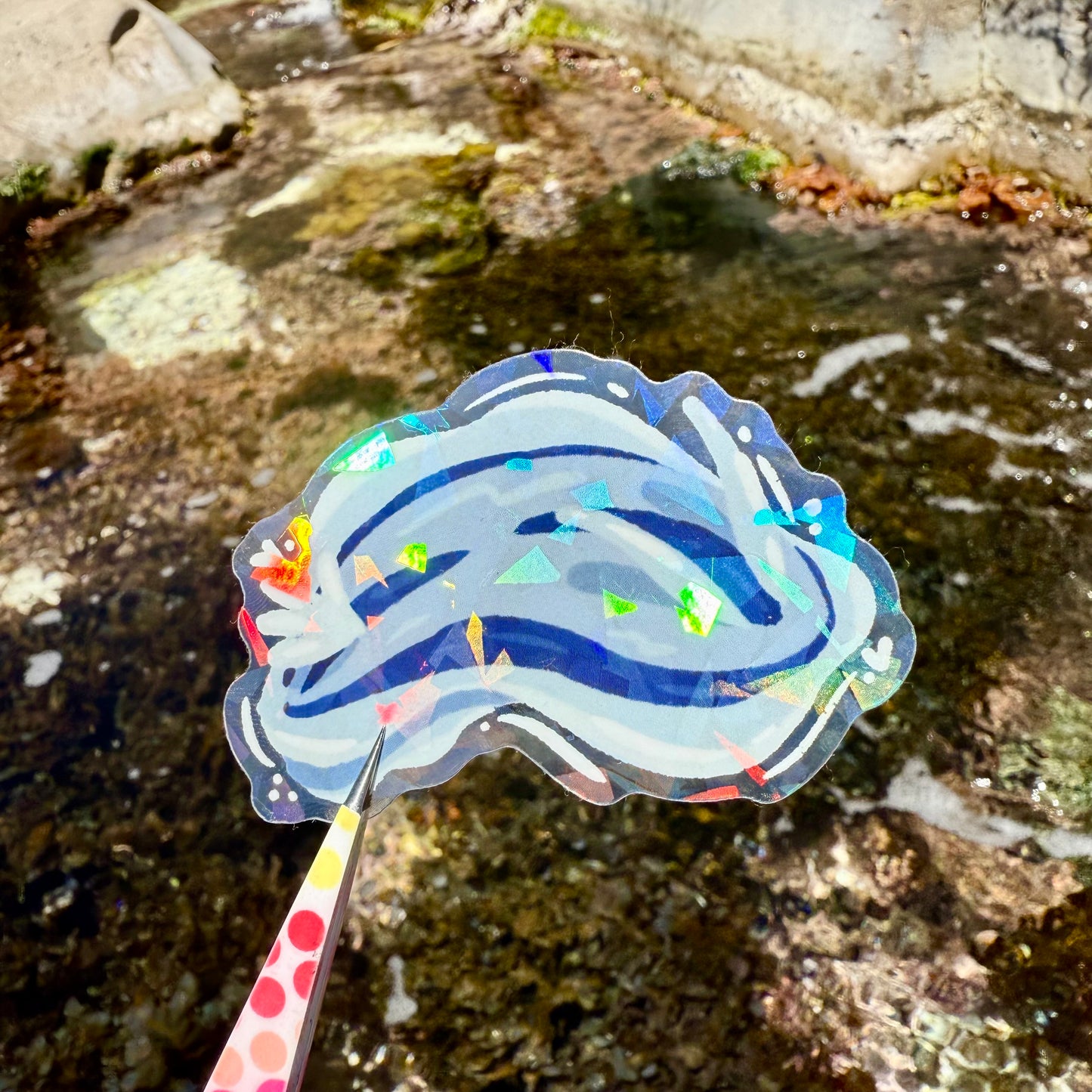 Nudibranch Sticker B