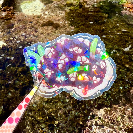 Nudibranch Sticker C