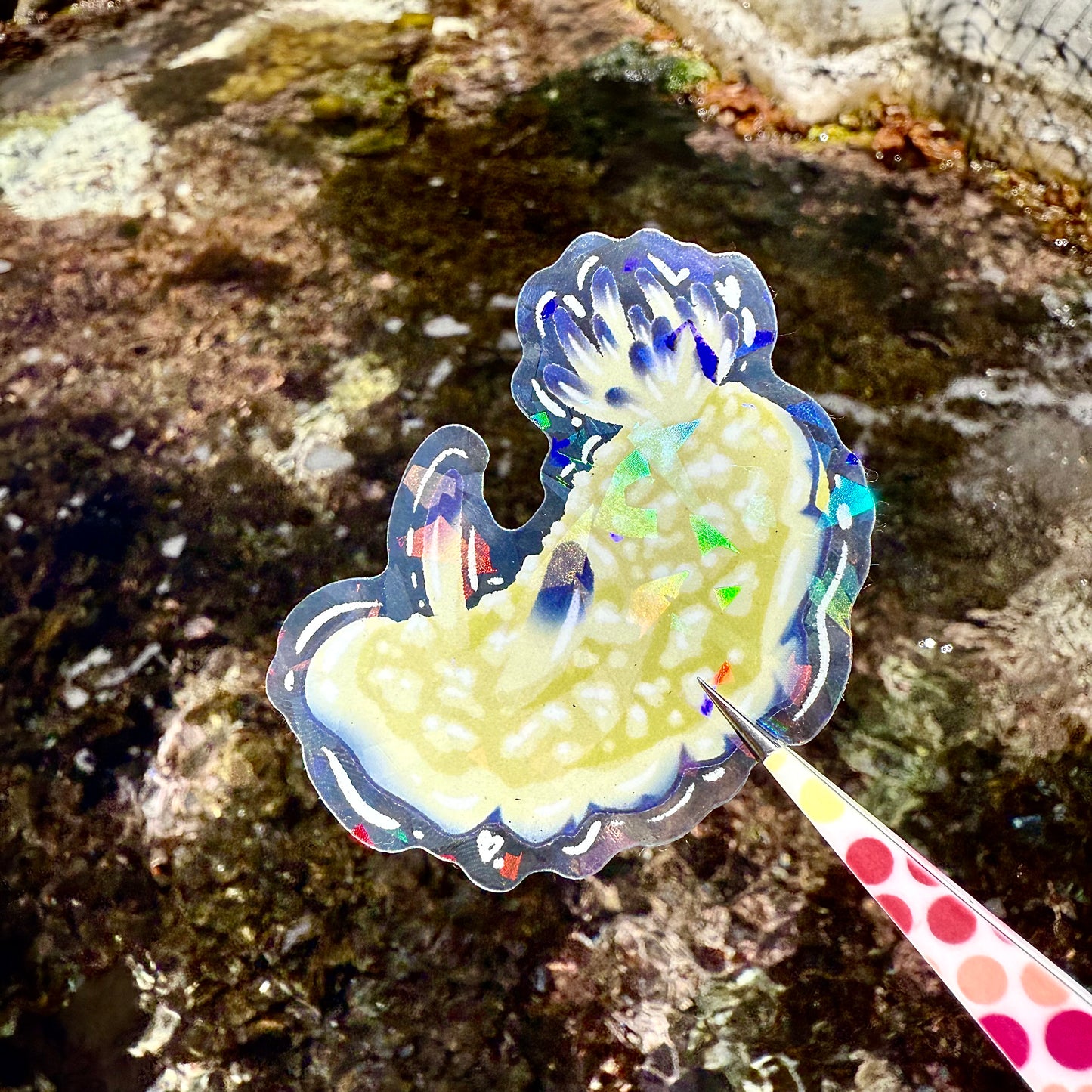 Nudibranch Sticker F