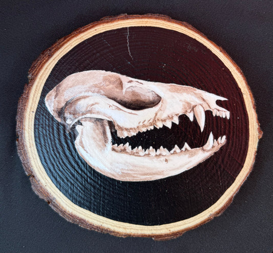 Possum Skull Painting On Wood