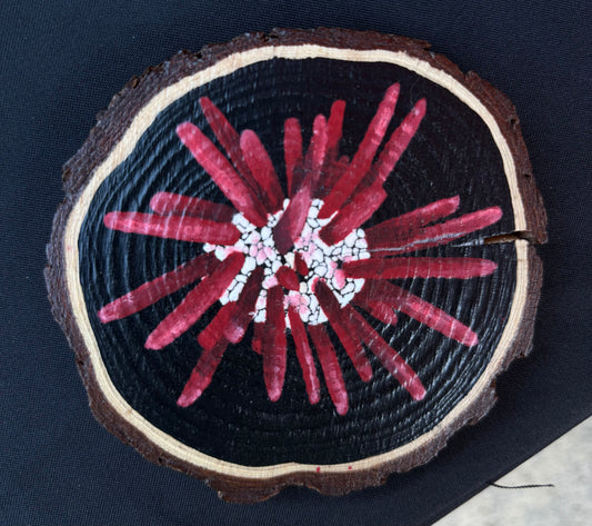 Pencil Urchin Painting On Wood