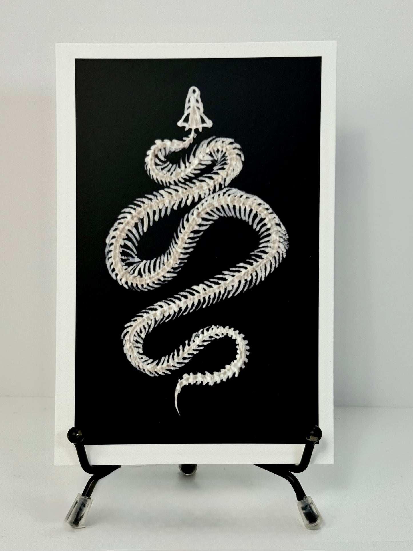 Snake Bones Art Print 4x6