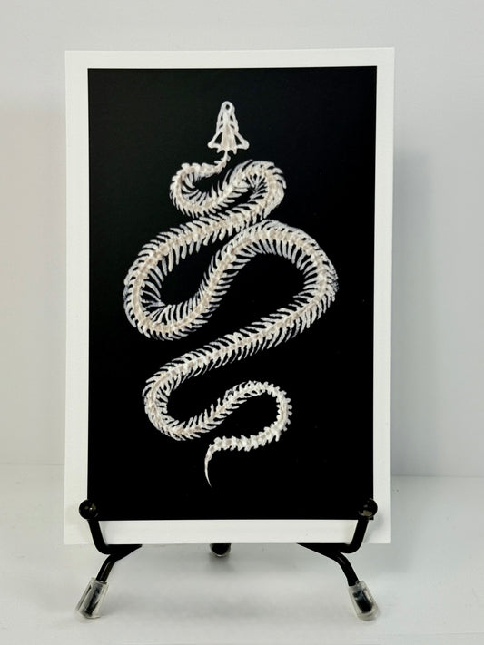 Snake Bones Art Print 4x6