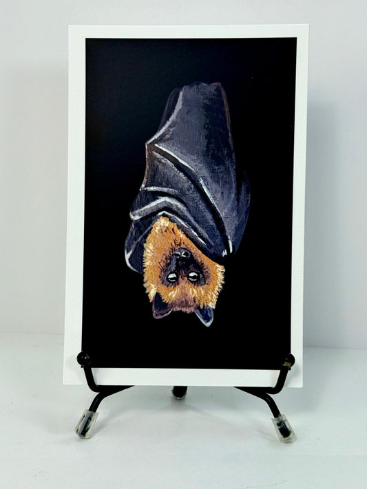 Hanging Bat Art Print 4x6