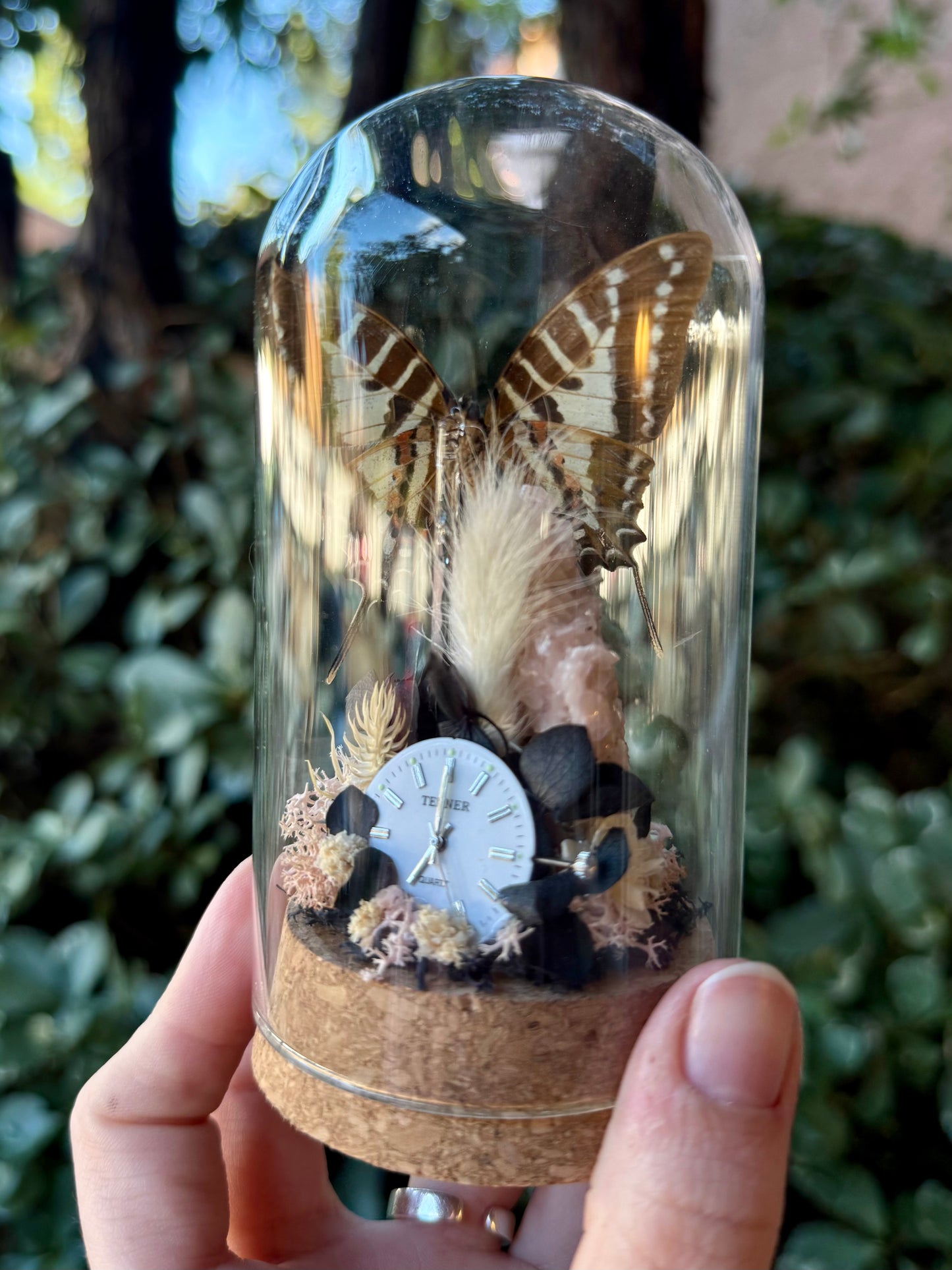 Wings of Time Floral Dome