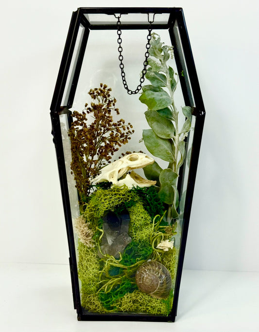 Perched Skull Glass Coffin